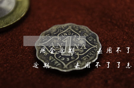 備用金逾期還進去用不了了怎么辦-備用金逾期還進去用不了了怎么辦呢