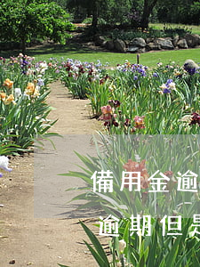 備用金逾期需要一次性還清花唄么-備用金逾期但是還完了什么時(shí)候可以使用花唄