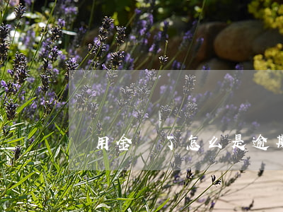 備用金還了怎么是逾期(備用金還了顯示沒還)