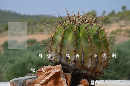 備用金還款后顯示逾期(備用金還過了還顯示逾期)