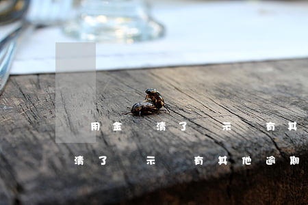 備用金還清了顯示還有其他逾期-備用金還清了顯示還有其他逾期怎么辦