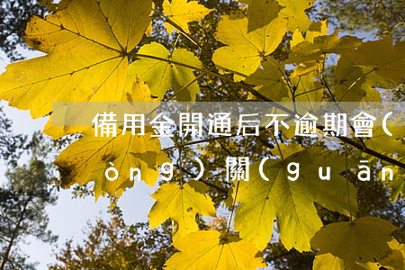 備用金開通后不逾期會(huì)自動(dòng)關(guān)閉么-備用金開通后不逾期會(huì)自動(dòng)關(guān)閉么嗎