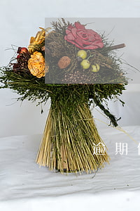 備逾期信用卡騷擾(逾期的信用卡)