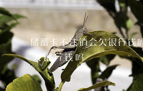 储蓄卡不注销会欠银行钱吗(储蓄卡不注销会欠银行钱吗)