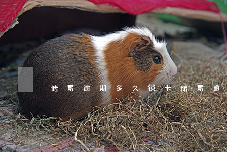 储蓄逾期多久锁卡 储蓄逾期多久锁卡能解锁