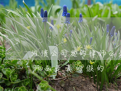 催债公司发的律师函是真的吗(催收寄来的律师函是真的假的)