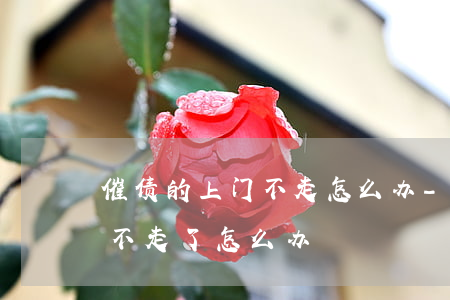 催债的上门不走怎么办-债权人上门催债就不走了怎么办?