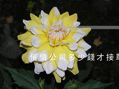 催債公司多少錢才接單(有沒有專門催債的)