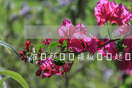 催債起訴書模板(討債起訴書模板)