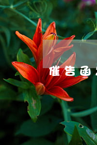 催告函怎么發(fā)給對方(法院催告函)