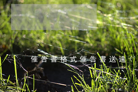 催告書格式(催告書送達(dá)方式)