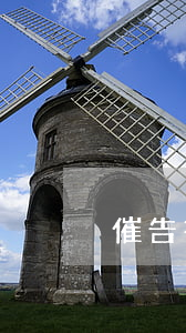 催告書格式(催告書送達方式)