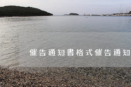 催告通知書 格式(催告通知書 格式)