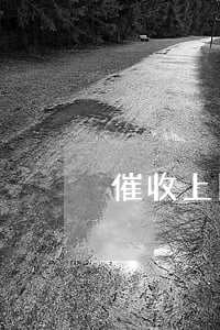 催收上門嗎(催收能上門嗎)