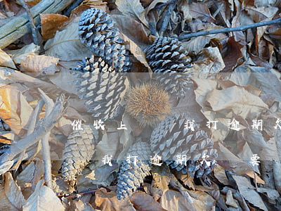 催收上門讓我打逾期欠條要寫嗎-催收上門讓我打逾期欠條要寫嗎合法嗎