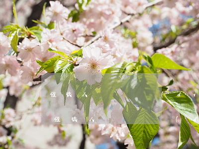 催收人員說幾點(diǎn)上門是真的嗎(催收人員說幾點(diǎn)上門是真的嗎)
