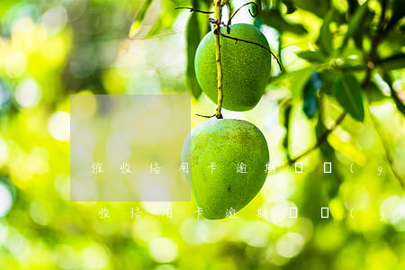 催收信用卡逾期這個(gè)工作好做嗎 催收信用卡逾期這個(gè)工作好做嗎貼吧