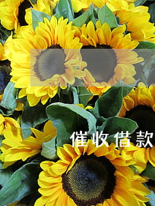 催收借款通知怎么寫(借款催收通知書模板)