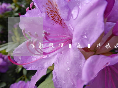 催收假律師函圖片(催收的律師函是真的假的)