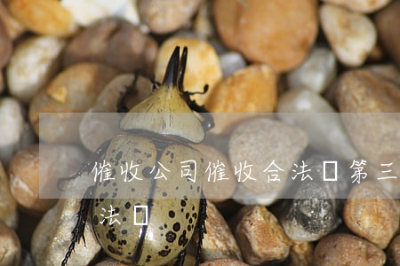 催收公司催收合法嗎(第三方催收公司催收合法嗎)
