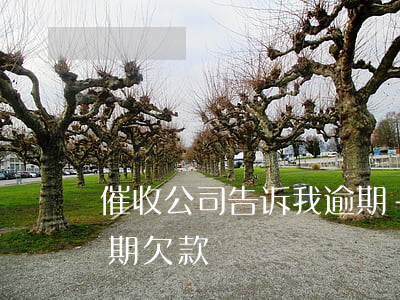 催收公司告诉我逾期-催收公司打电话说逾期欠款