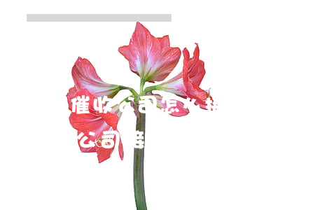 催收公司怎么接網(wǎng)貸單子(催收公司接單平臺)