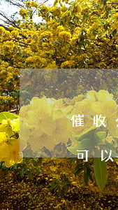 催收公司找上門了合法嗎(催收公司找上門了可以報警嗎)
