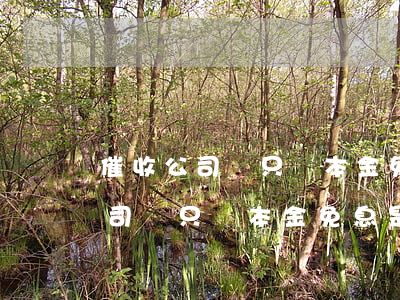 催收公司說只還本金免息是真的嗎-催收公司說只還本金免息是真的嗎嗎