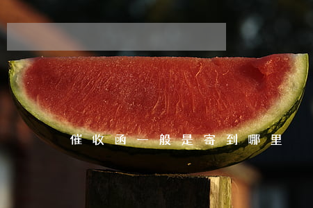 催收函一般是寄到哪里