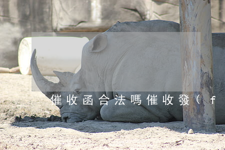 催收函合法嗎(催收發(fā)律師函違法嗎)