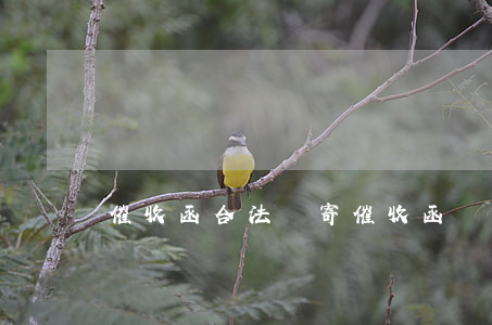 催收函合法嗎(寄催收函屬于暴力催收嗎)