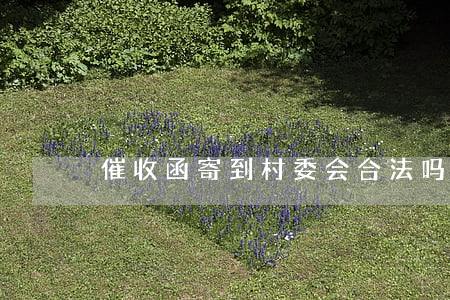 催收函寄到村委会合法吗