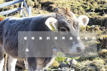 催收发的律师函是真的吗(律师事务所发催收函)