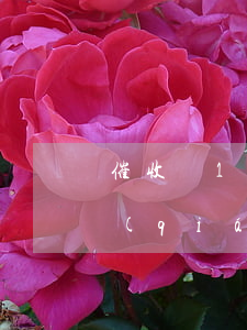 催收員1萬(wàn)提成多少(催收員賺錢(qián)嗎)
