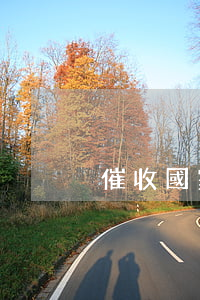 催收國家不管嗎-湖南永雄催收國家不管嗎