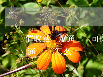 催收威脅爆通訊錄可以報警嗎-催收威脅爆通訊錄怎么辦
