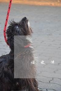 催收律師函可以拒收嗎(催收函可以拒絕簽收嗎?)