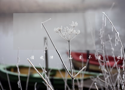 催收律師函要不要簽收(催收欠款律師函)