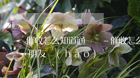 催收怎么知道通訊錄-催收怎么知道通訊錄朋友號(hào)碼