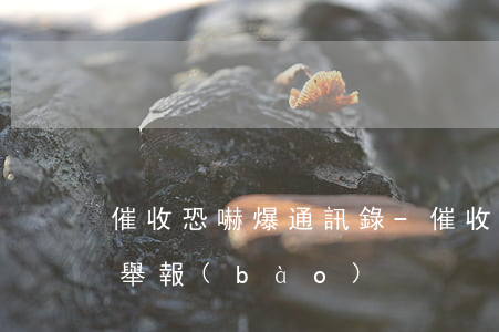 催收恐嚇爆通訊錄-催收恐嚇爆通訊錄怎么舉報(bào)