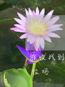 催收找到单位去合法吗(银行催收有权找到单位吗)