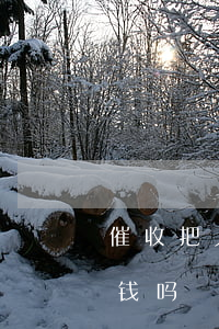 催收把人催死了判刑(催收把人催死了还用还钱吗)