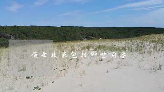 催收政策包括哪些内容