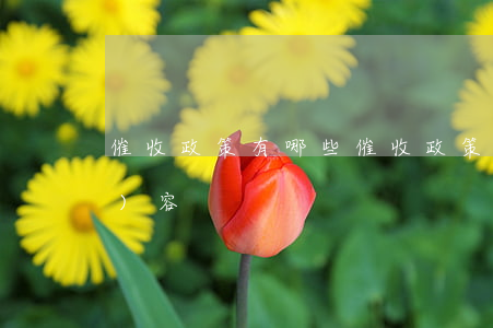 催收政策有哪些 催收政策有哪些內(nèi)容