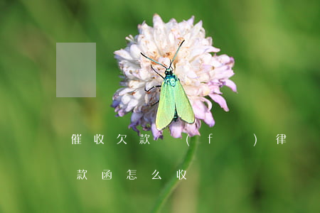 催收欠款發(fā)律師函要多少錢(律師催款函怎么收費)
