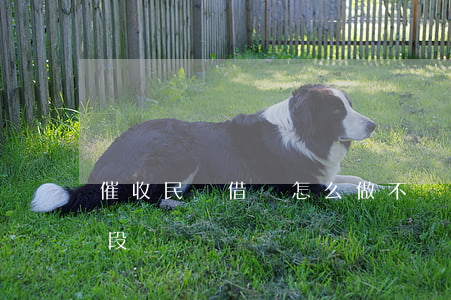 催收民間借貸怎么做不違法(銀行貸款催收手段)