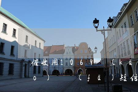 催收用1069開(kāi)頭的號(hào)碼發(fā)短信(催收用1069開(kāi)頭的號(hào)碼發(fā)短信說(shuō)去我家收錢)