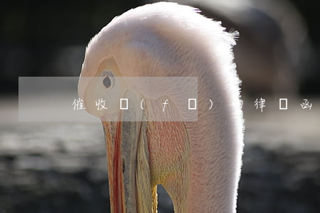 催收發(fā)的律師函是真的嗎
