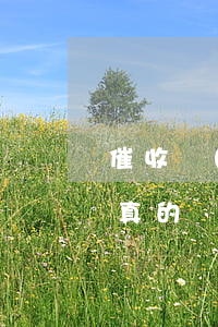 催收發(fā)短信說(shuō)上門 是真的嗎(催收發(fā)短信說(shuō)上門需要回復(fù)短信嗎)