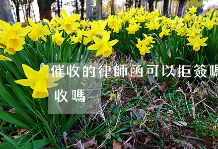 催收的律師函可以拒簽嗎(催收函可以拒絕簽收嗎?)